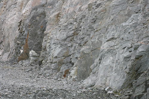 Rock Textures, Canadian Shield, Doe Lake, Katrine, Muskoka… | Flickr