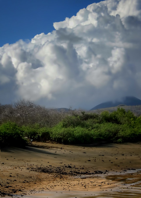 Puffy Clouds Over Galapagos