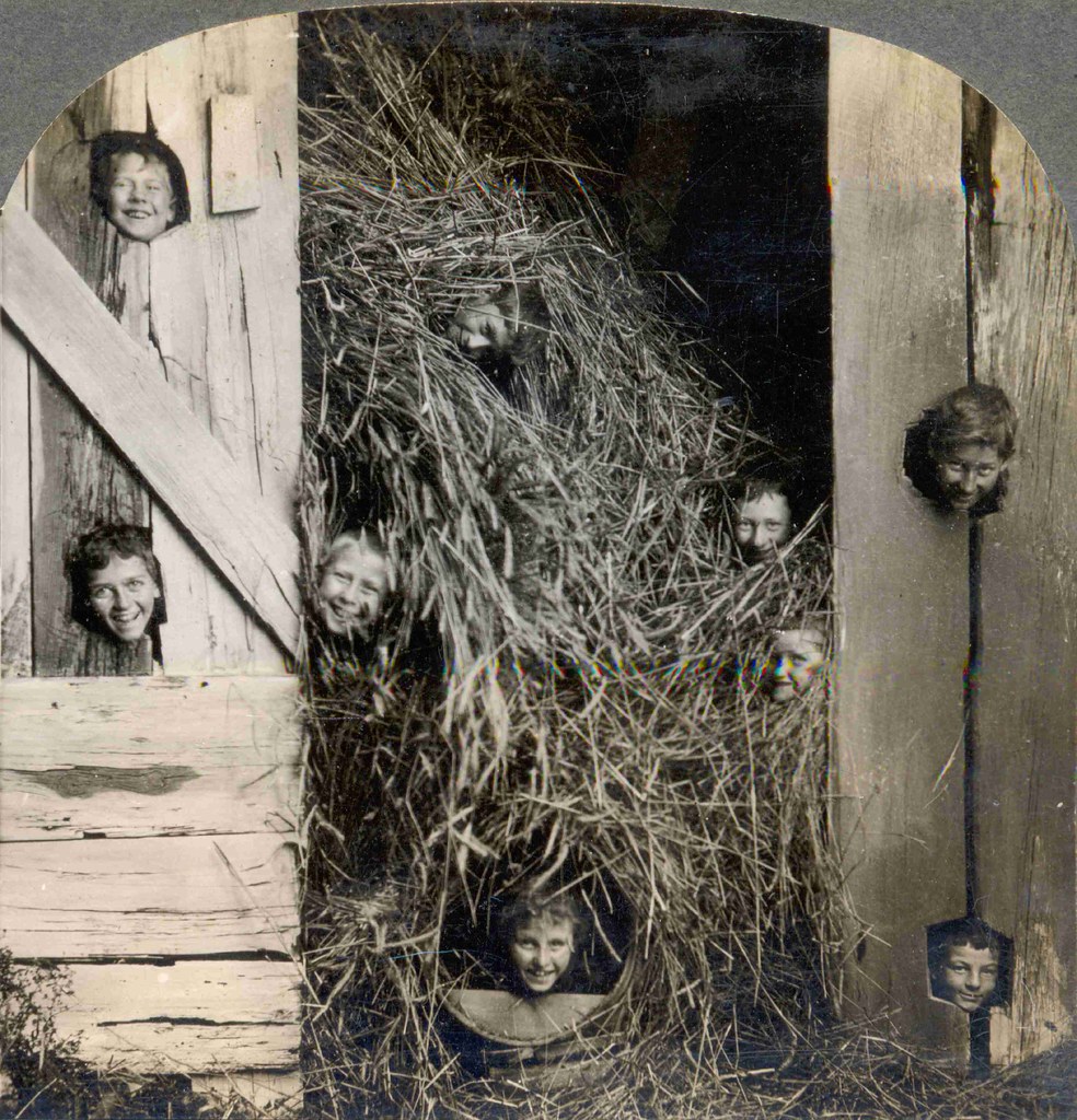 Barn Rats | A stereoview image of a happy group of young boy… | Flickr