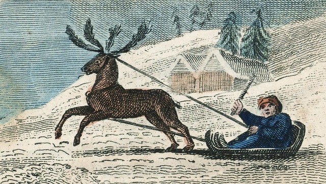 Sami Laplander Norway 1813 reindeer ride
