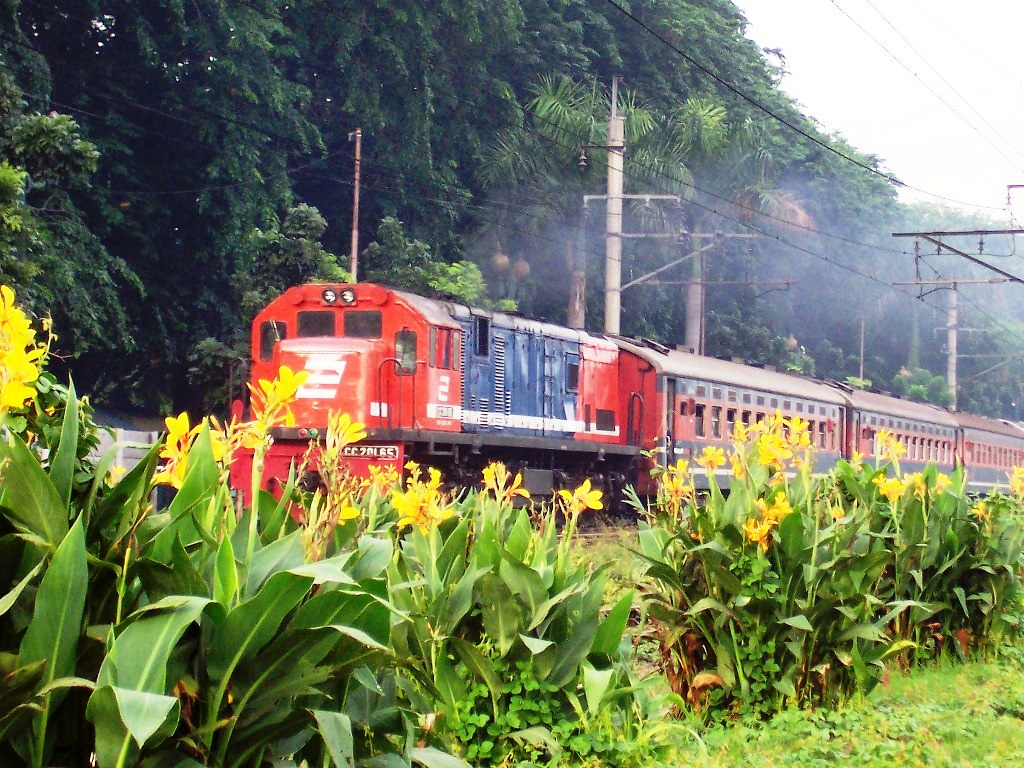 Kereta Api Kutojaya melintas di Cipinang