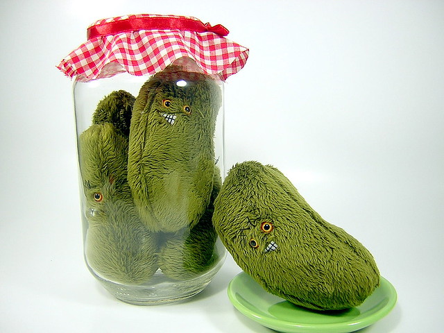 preserved plush pickles
