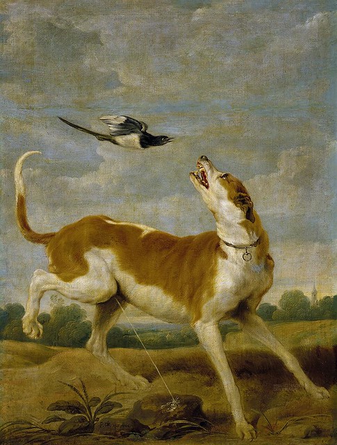 Vos, Paul de 1591/95-1678 - El perro y la picaza