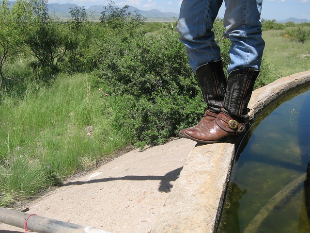 Botas Texanas, Rancho Mpio. Chih. / Texan Boots, Chihuahua, Mexico