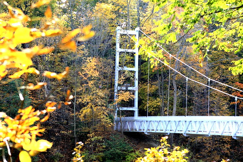 Cornell Suspension Bridge 2 | by Averain