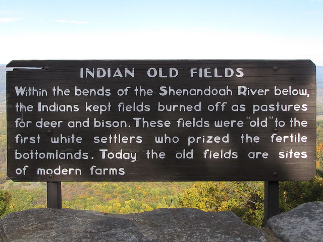 Indian Old Fields
