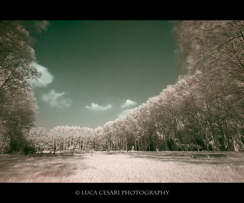 Beyond what human eyes can see #1 by Luca Cesari Photography