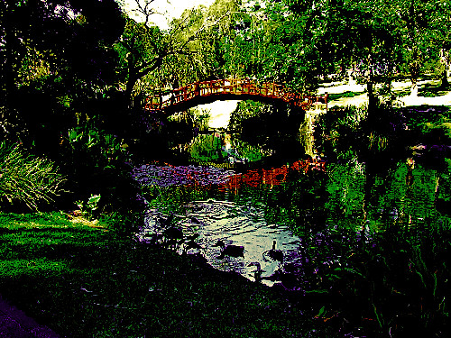 Tarmfunktion Dømme Tårer Wollongong Botanic Gardens - Kawasaki Bridge | Using photosh… | Flickr
