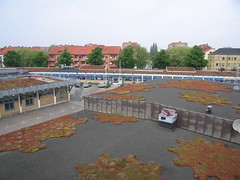 Augustenborgs botaniska takträdgård 