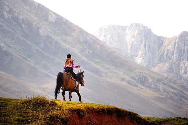 Tibetan བོད་པ Horsewoman