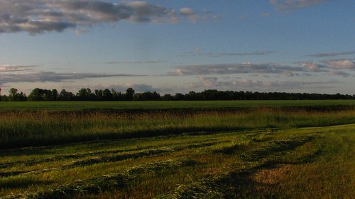 flickr farmland