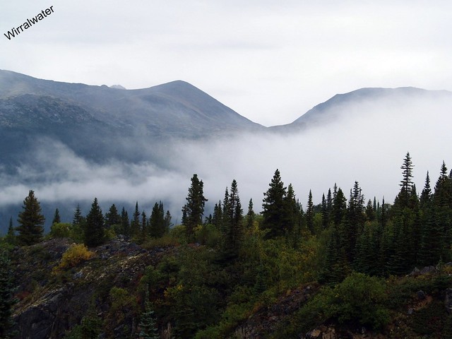 Mist in the Yukon