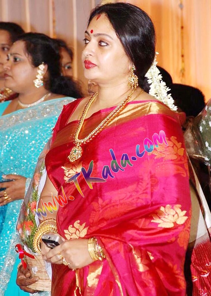 Actress Meena Marriage Wedding Engagement Reception Photos,Actress Meena .....