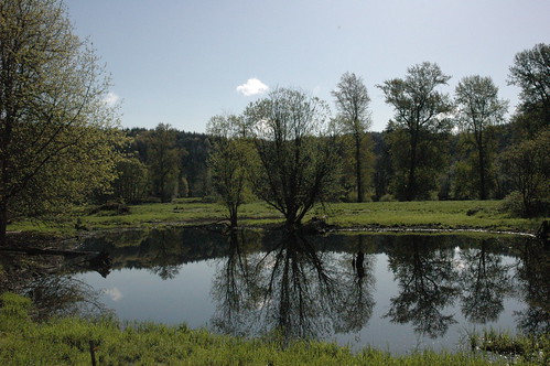 20090618 upload scenic vernonia oregon beauty water pond