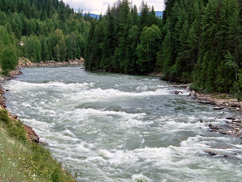 britishcolumbia bc norththompson highway highway5 river norththompsonriver tree 2009 green white colour color canada decade2000 canadagood