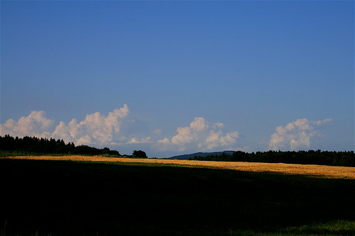 fields of gold ... You'll remember me when the west wind moves by eyeflyer