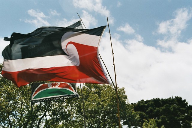 Tino Rangatiratanga flag