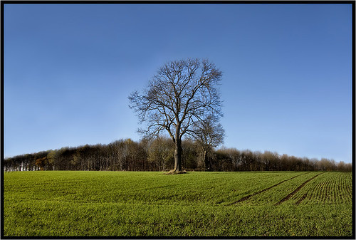 geotagged leicestershire canon450d pdeee454 patdalton geo:lat=52497205 geo:lon=1101165