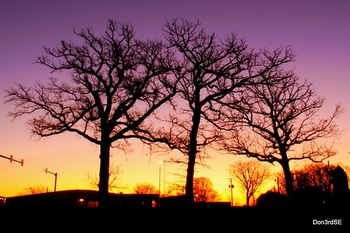 november autumn trees light color fall nature silhouette sunrise canon landscape eos oak natural iowa ia desmoines 50d abigfave canon50d platinumheartaward goldstaraward don3rdse