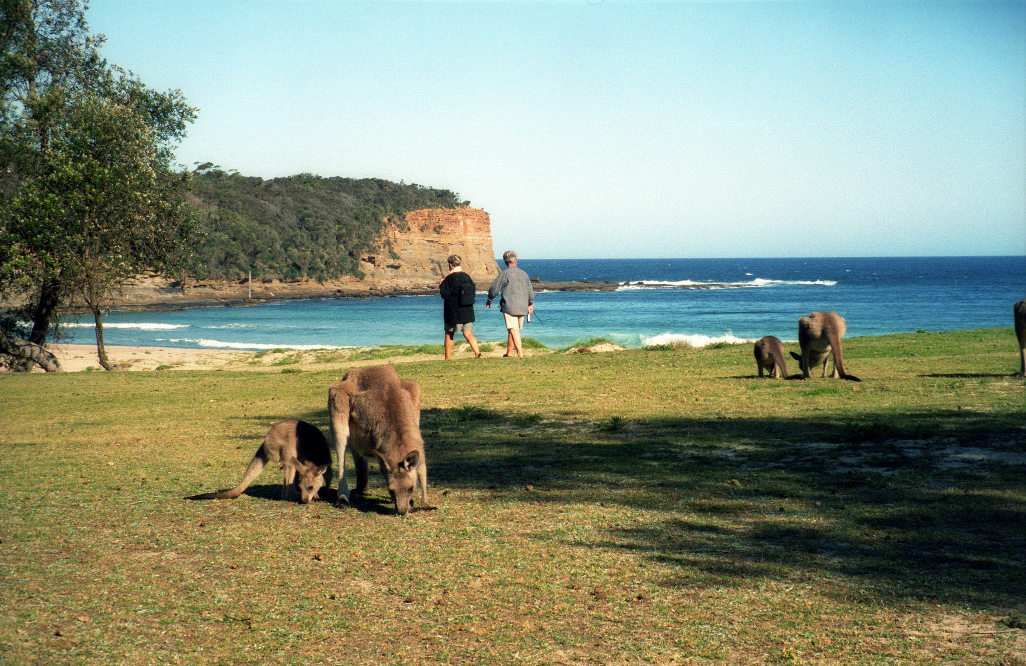 Pebbly Beach