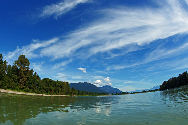 Fishing the Fraser River, BC