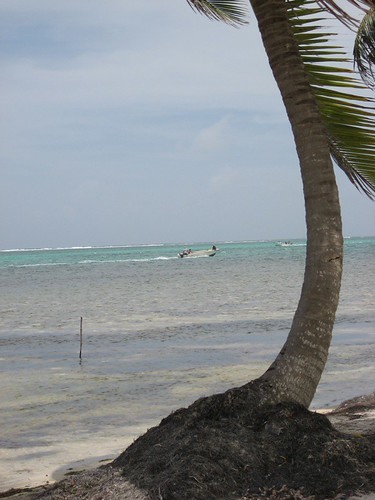 IMG_0518.JPG | by justinstaceybelize