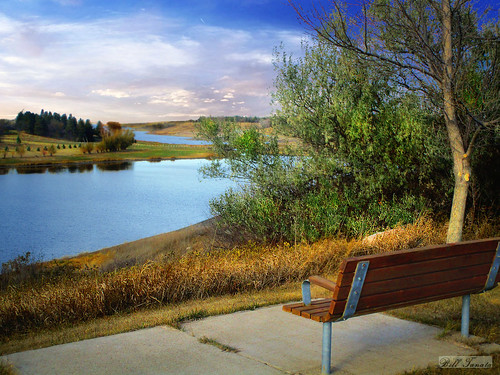 northdakota landscape reservoir bench tree lake water grass prairie plains outdoors