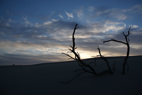 Sand Dune 205 | by KeithRhebb