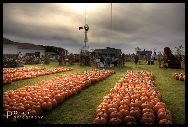 Johnson's Pumpkin Farm