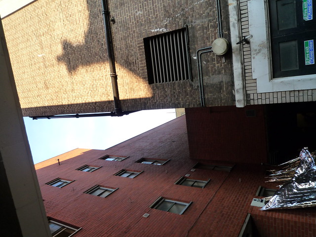 P1010128.JPG