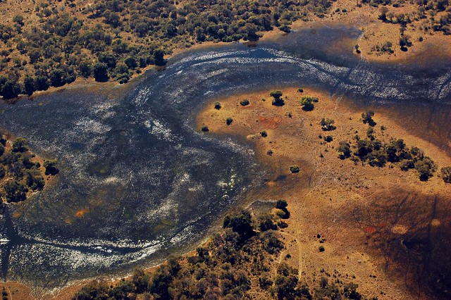 Botswana Okavango Delta D40_6792