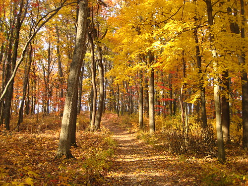 autumn ohio hiking fallcolors parks hockinghills clearcreek