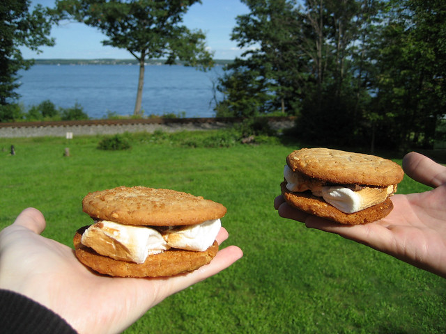 Peanut Butter Cookie S'mores