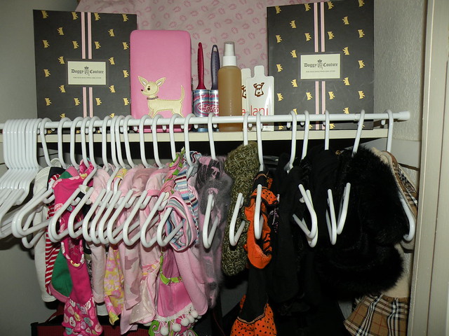 Hailey's Closet
