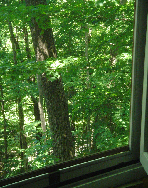 L'Été de par ma fenêtre / View from window
