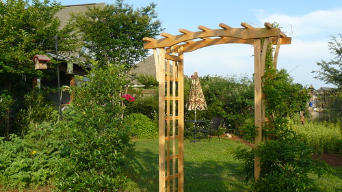 backyard with new arbor | by Connie Sue2