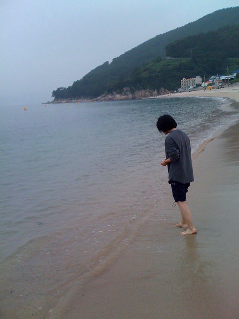 Beach forager Ghi