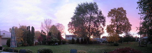 morning trees house fall colors sunrise backyard michigan detroit panoramic