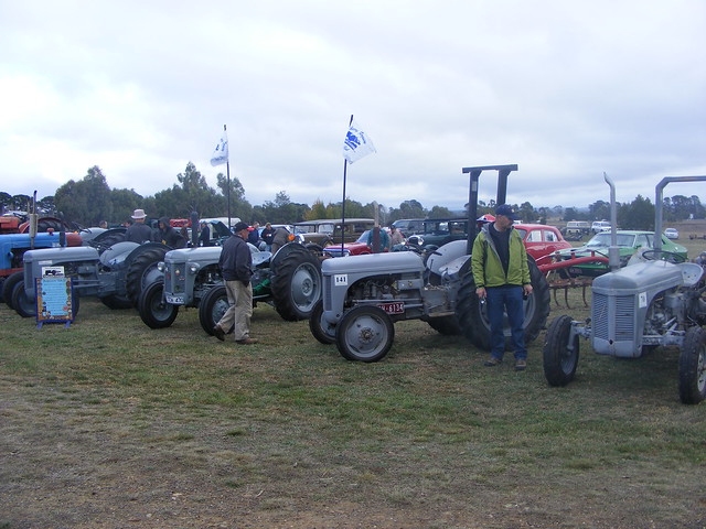 A lineup of grey fergie tractors