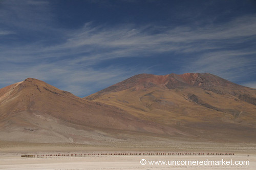mountains train landscape desert bolivia salartour