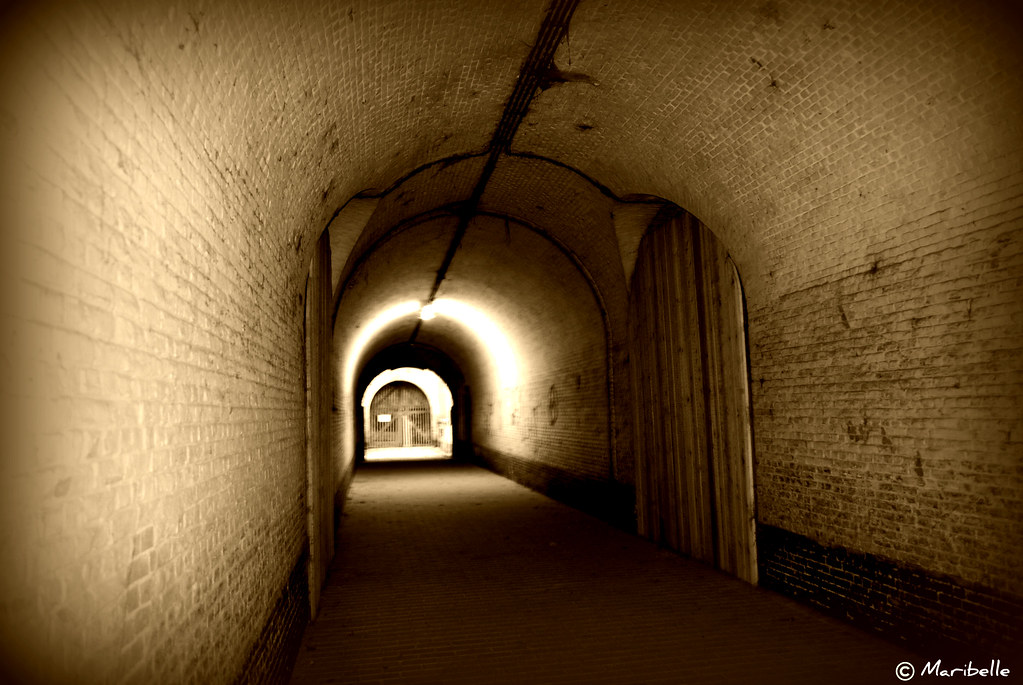 Fort 5