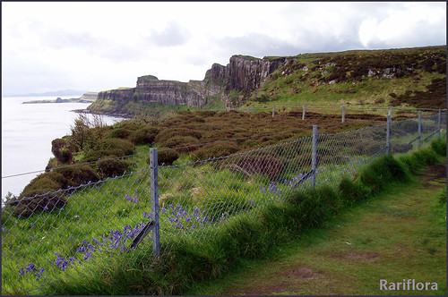 Basalt cliffs | by rariflora