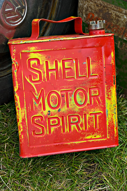 Shell Still Life