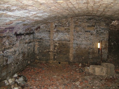 Old Cellar | This old cellar was hidden for perhaps 60 years… | Brian