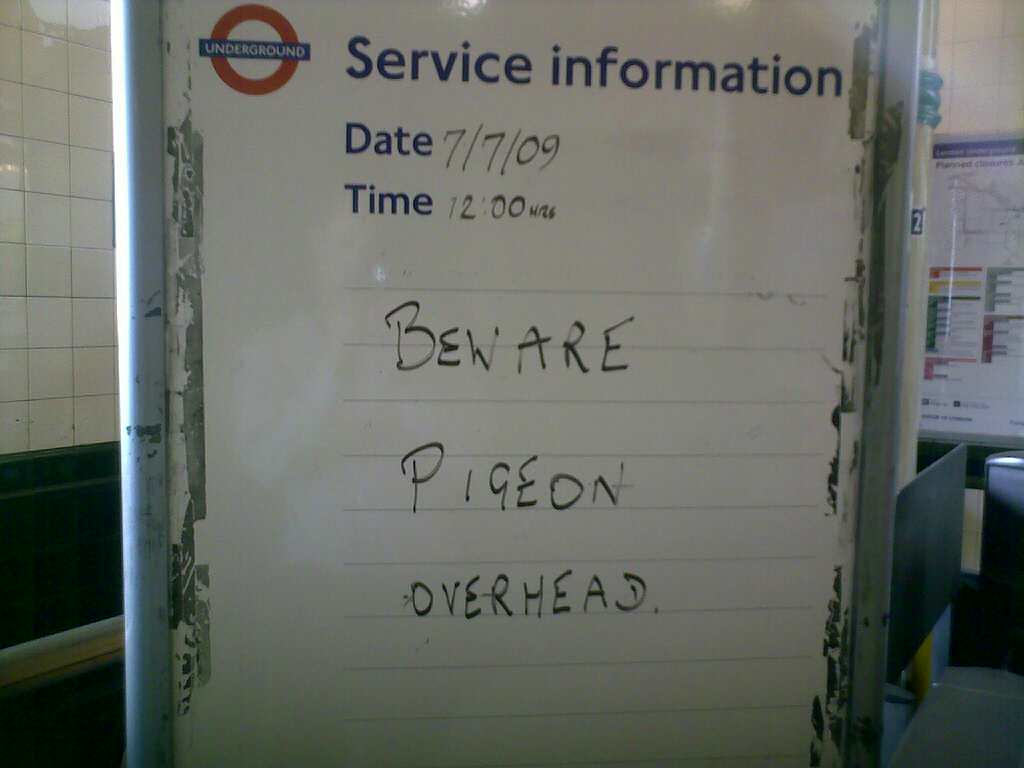 London Underground Pigeon warning
