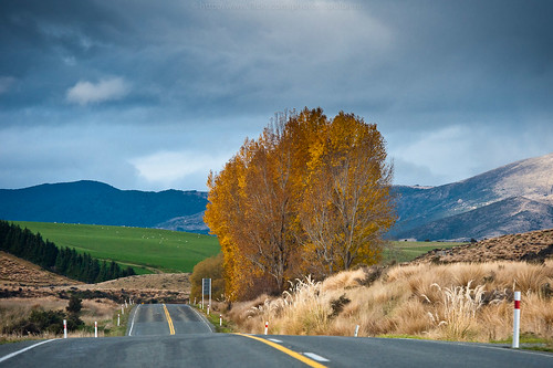 road newzealand nature landscape photography 2011 landscapephotography