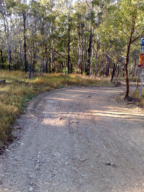 Tracks at Lake Kurwongba