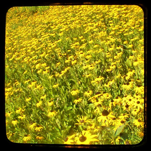 county orange west green history yellow shopping french gold hotel view kodak indiana lick casino resort southern hundred springs dome historical dining through baden finder thousand duaflex viewfinder ttv