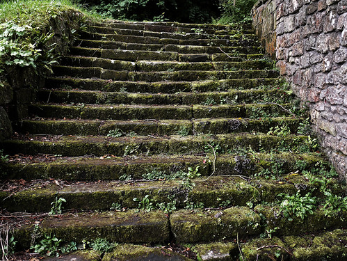 The Chillingham Steps | by RD Crisp Photography