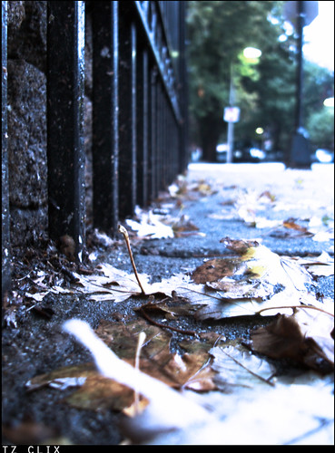 fall | by tejpaulsingh